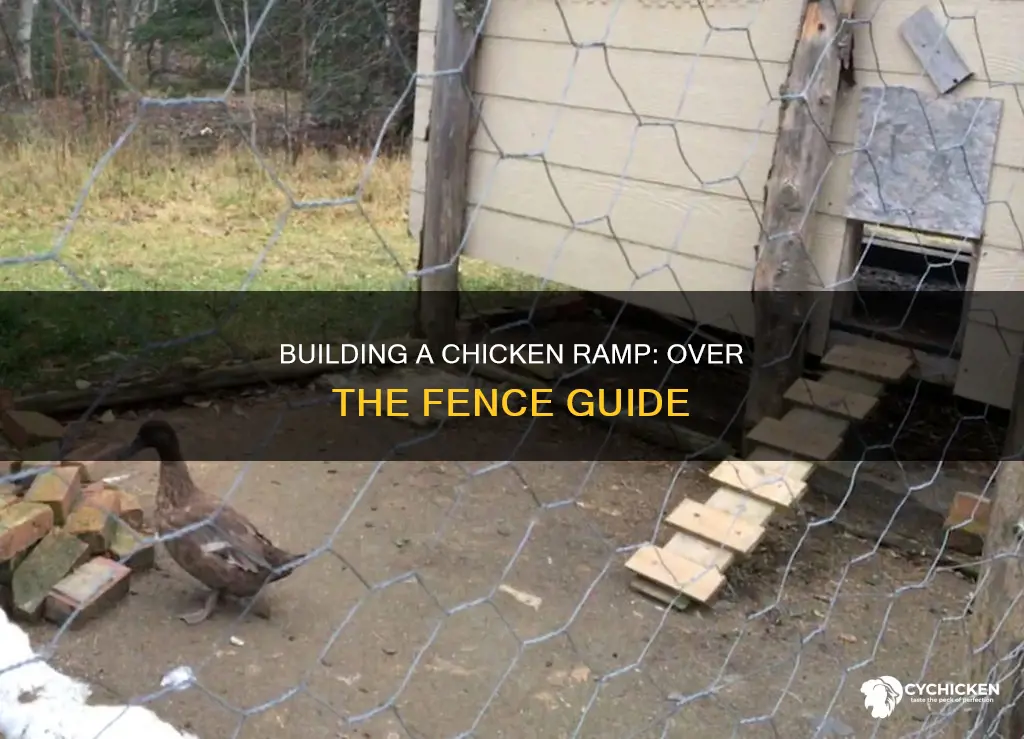 how to build an over the fence chicken ramp
