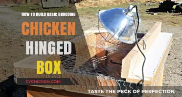 Constructing a Basic Brooding Chicken Box: A Step-by-Step Guide