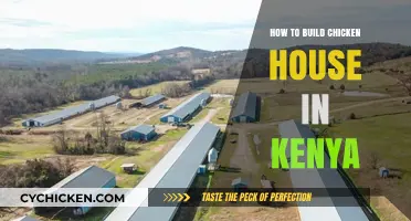 Building a Durable Chicken House in Kenya: Step-by-Step Guide