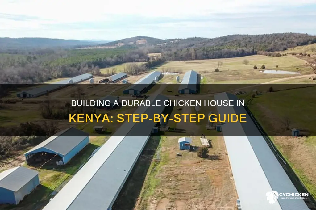 how to build chicken house in kenya