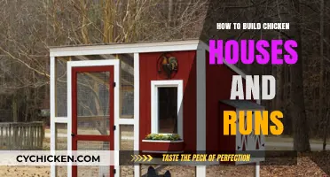 Building Chicken Coops and Runs: A Step-by-Step Guide for Beginners