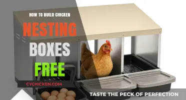 DIY Chicken Nesting Boxes: Free Plans for Happy Hens