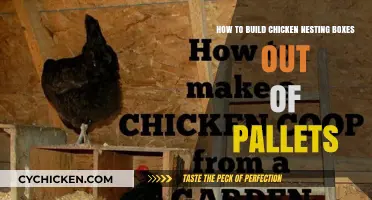 Constructing Chicken Nesting Boxes: Repurpose Shipping Pallets