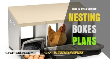 DIY Chicken Nesting Boxes: Easy Plans for Happy Hens