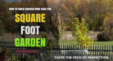 Building a Chicken Wire Cage for Square Foot Gardening