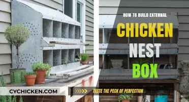 DIY Chicken Nest Box: Easy Steps for Outdoor Egg-Laying Comfort