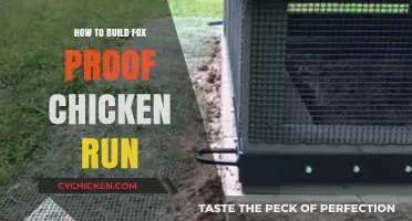 Secure Your Flock: Building a Fox-Proof Chicken Run Guide