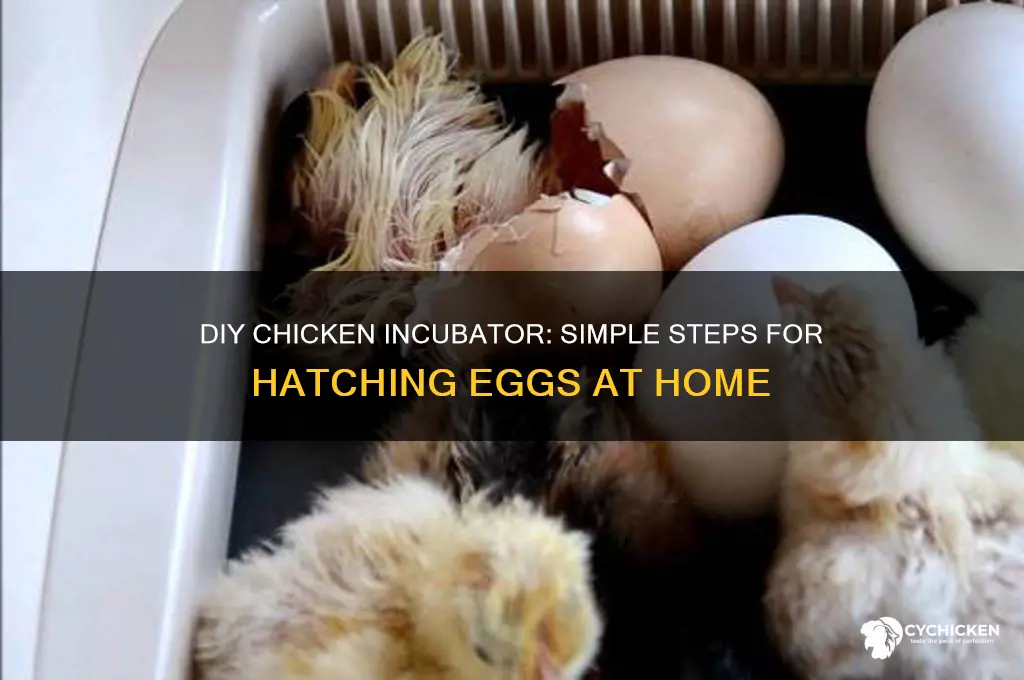 how to build homemade incubator for chicken
