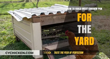 Building a Meat Chicken Pen: A Yard Project