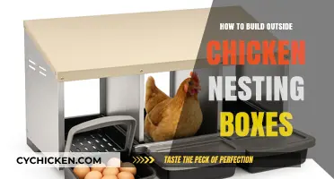 DIY Guide: Building Durable Outdoor Chicken Nesting Boxes Easily
