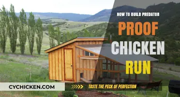 Secure Your Flock: Building a Predator-Proof Chicken Run Guide