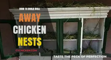 DIY Roll-Away Chicken Nests: Easy Steps for Happy Hens