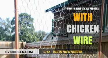 Building a Chicken-Wire Pergola: DIY Guide