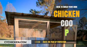 Constructing a Chicken Coop: A DIY Guide
