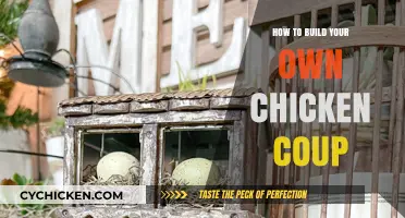 DIY Chicken Coop: Step-by-Step Guide to Building Your Own