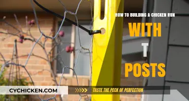Constructing a Chicken Run with T-Posts: DIY Guide