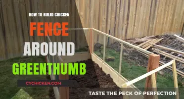 Secure Your Greenthumb Garden: Building a Chicken-Proof Fence Guide
