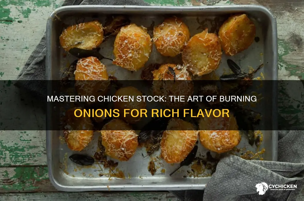 how to burn onion for chicken stock