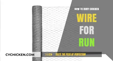 Secure Your Chicken Run: Burying Chicken Wire Effectively for Safety