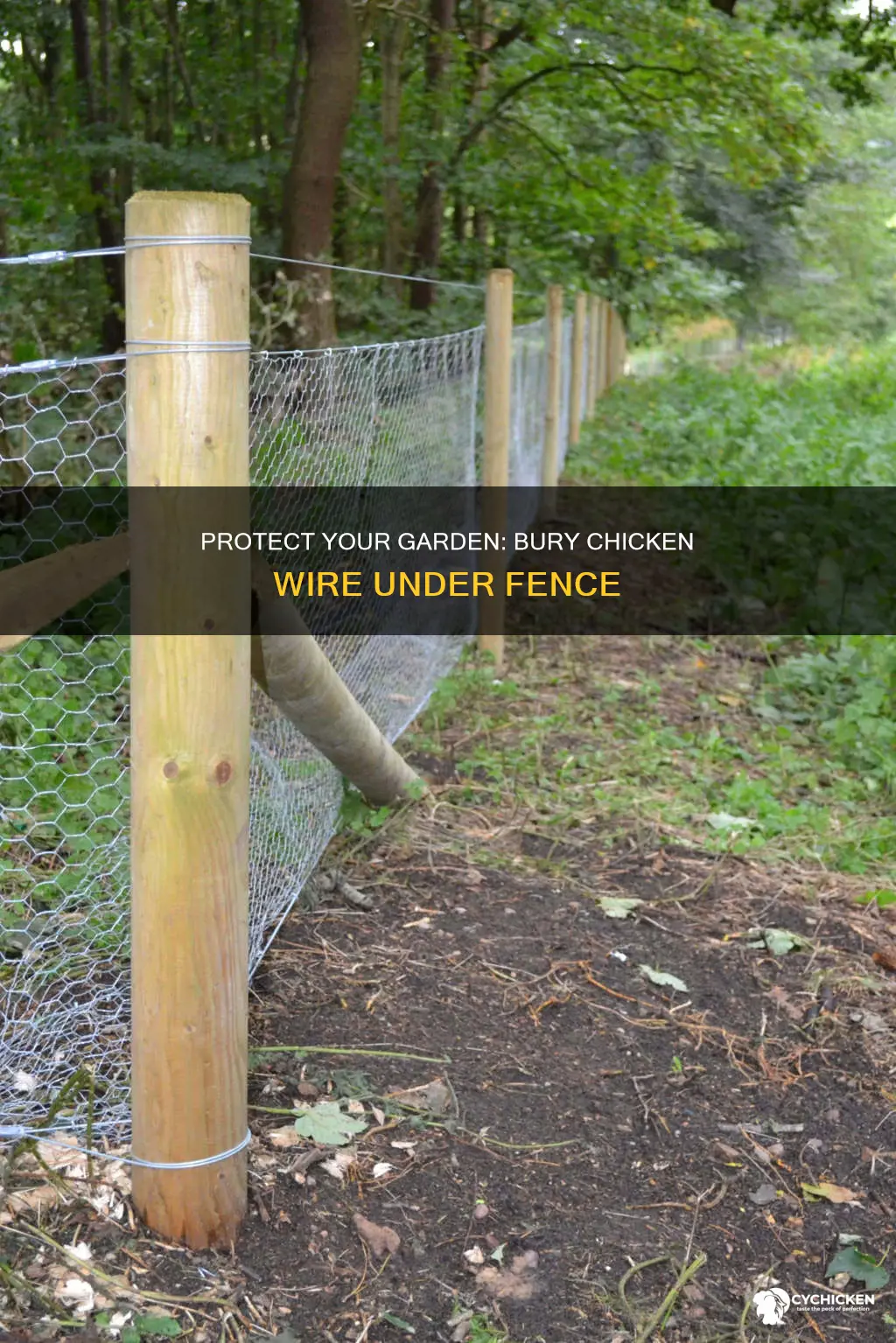 how to bury chicken wire under fence to stop rabbits