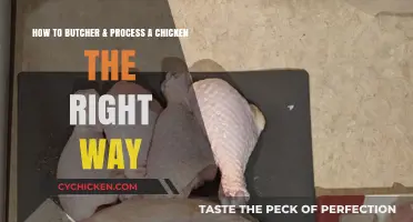 Butchering Chickens: A Step-by-Step Guide to Doing It Right