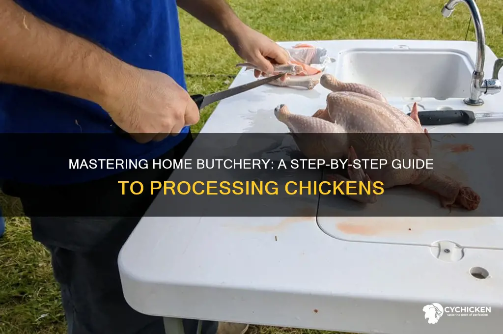 how to butcher a chicken at home