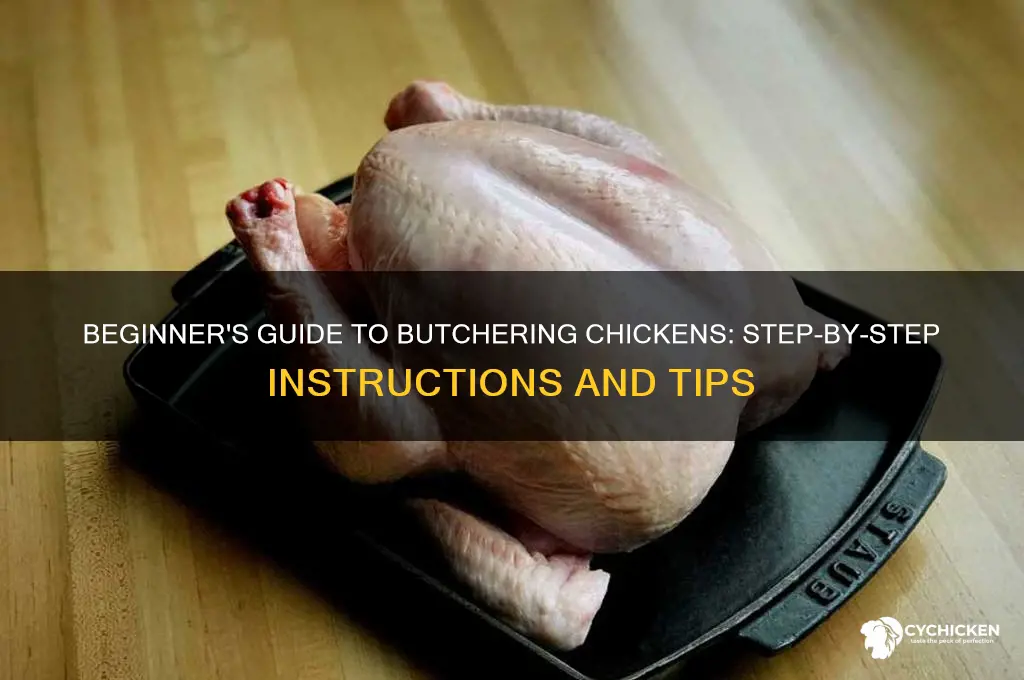 how to butcher a chicken for beginners