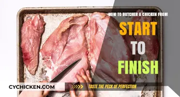 Butchering Chickens: A Step-by-Step Guide for Beginners