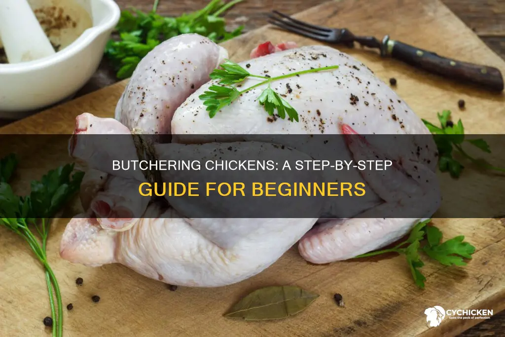 how to butcher a chicken from start to finish