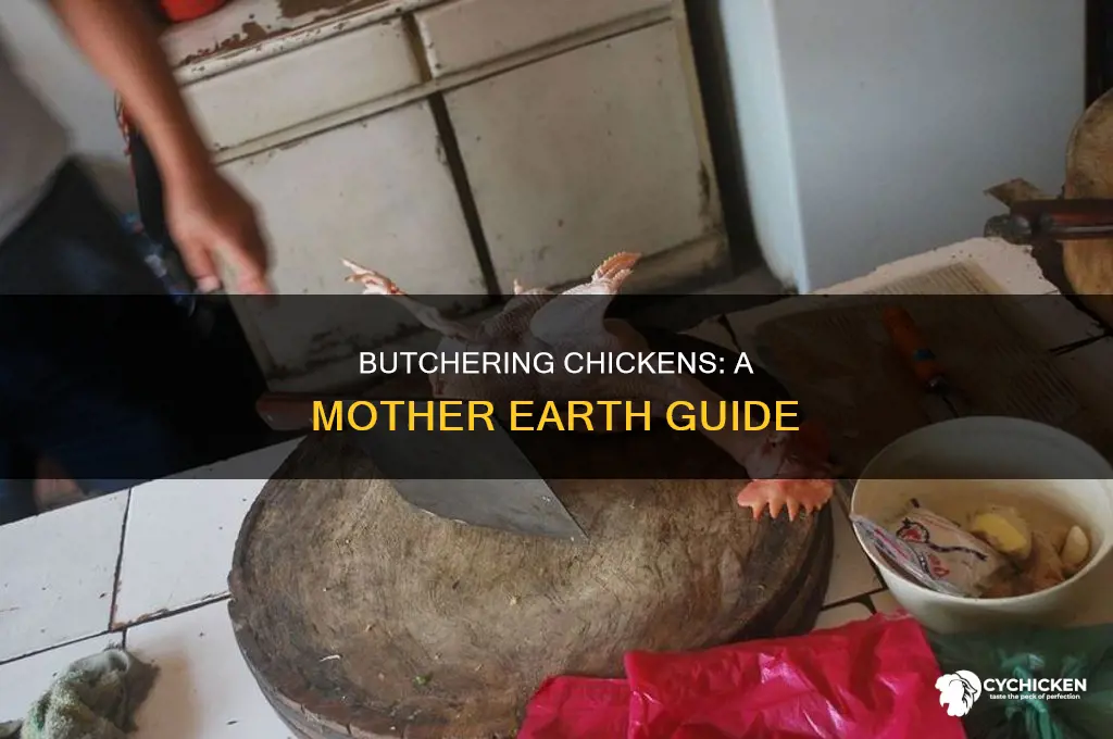 how to butcher a chicken mother earth news
