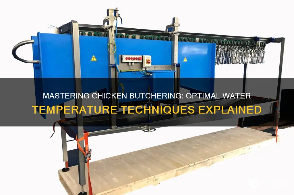how to butcher a chicken water temperature