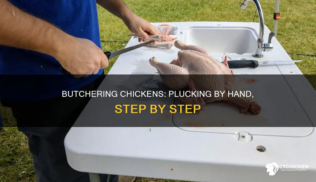 how to butcher a chicken without a plucking machine