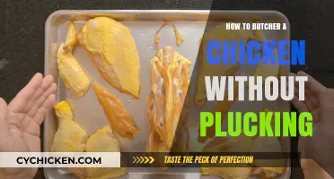 Skin-On Chicken Butchering: A Pluck-Free Guide for Home Cooks