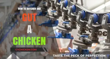 Mastering Chicken Butchery: Step-by-Step Guide to Gutting and Processing Poultry