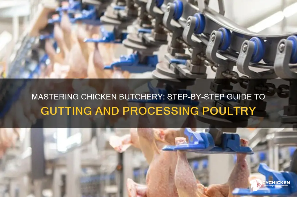 how to butcher and gut a chicken
