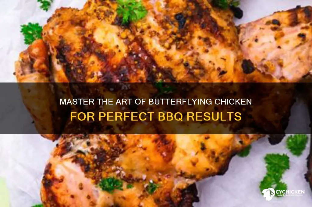 how to butterfly a chicken for bbq