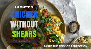 Master Butterflying Chicken: A Shears-Free Technique for Perfect Results