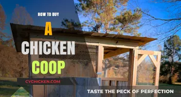 Choosing the Perfect Chicken Coop: A Buyer's Guide for Beginners