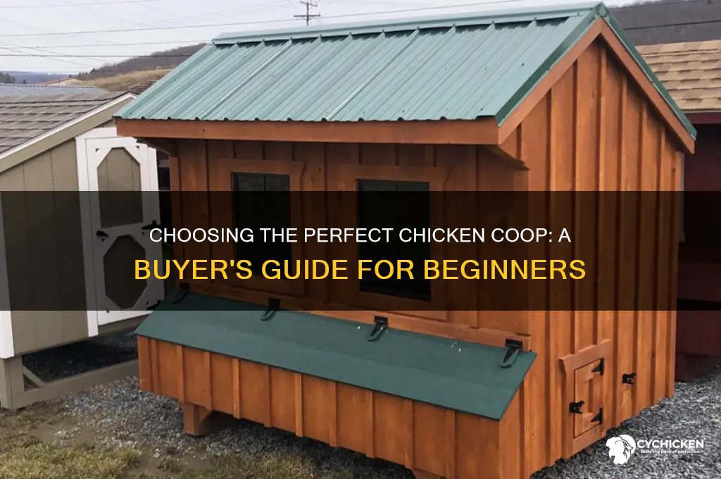 how to buy a chicken coop