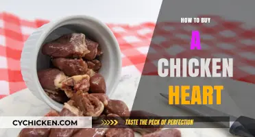 A Beginner's Guide to Buying Fresh Chicken Hearts for Cooking