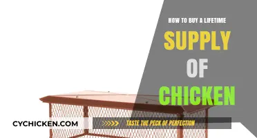 Secure Your Lifetime Chicken Supply: Smart Buying Strategies Revealed