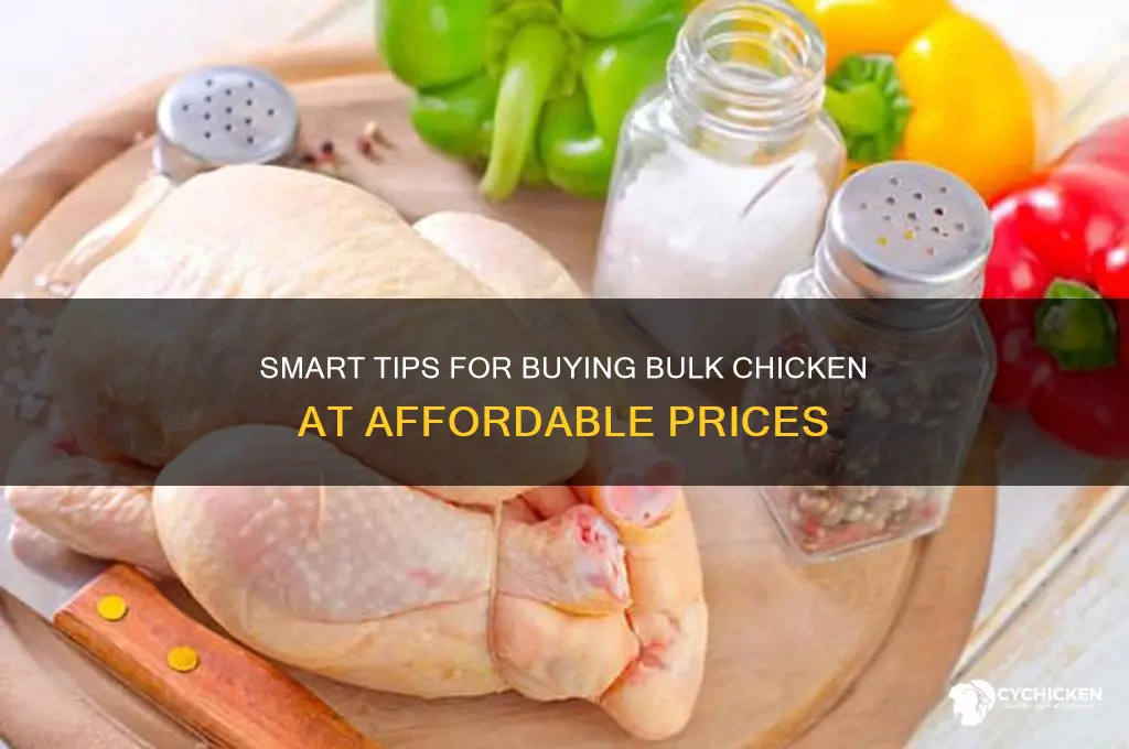 how to buy bulk chicken cheep