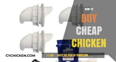 Smart Tips for Finding Affordable Chicken Without Sacrificing Quality