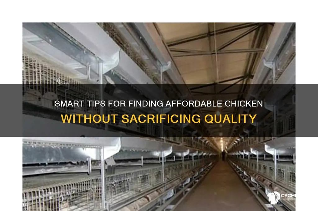 how to buy cheap chicken