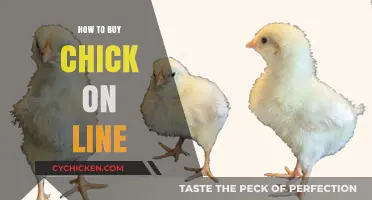 Your Ultimate Guide to Buying Chicks Online Safely and Easily