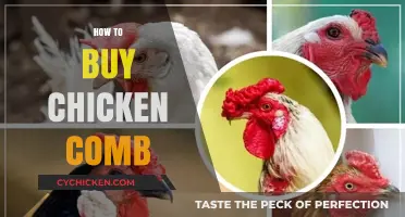 A Buyer's Guide to Choosing and Purchasing Chicken Combs