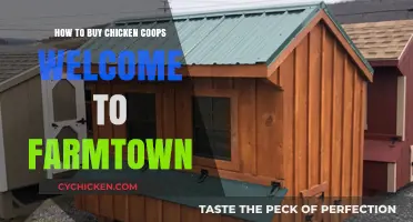 Farmtown Guide: Choosing the Perfect Chicken Coop for Your Flock