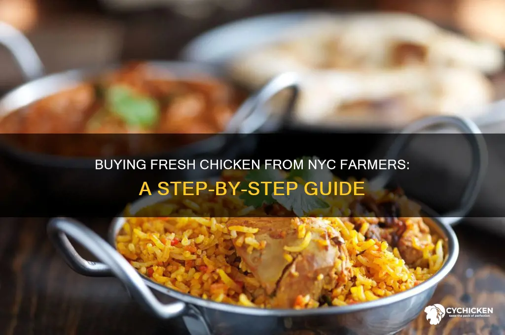 how to buy chicken from farmers nyc