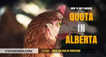 Buying Chicken Quota in Alberta: A Step-by-Step Guide for Farmers