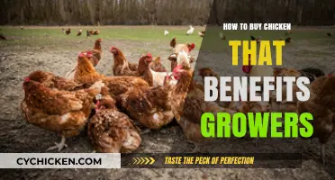 Support Ethical Farming: Smart Tips for Buying Grower-Friendly Chicken